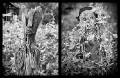 Bangkal_Tiwah_20160313_0224 b-w